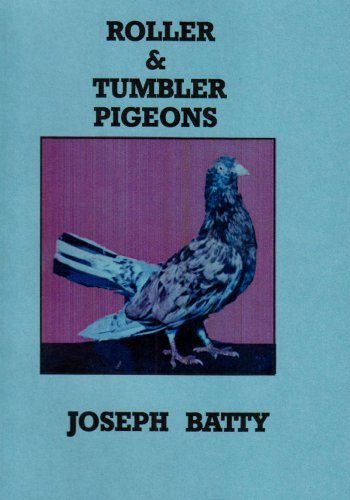 Roller and Tumbler Pigeons and Pigeon Management