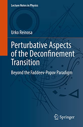 Perturbative Aspects of the Deconfinement Transition: Beyond the Faddeev-Popov Paradigm (Lecture Notes in Physics)