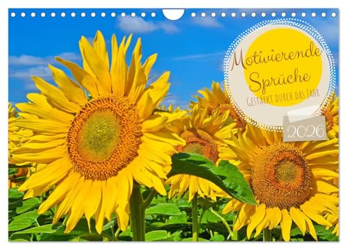 Motivierende Sprüche - gestärkt durch das Jahr (Wandkalender 2026 DIN A4 quer), CALVENDO Monatskalender: Sprüche für den guten Tag in den Start, zur Motivation (CALVENDO Spass)