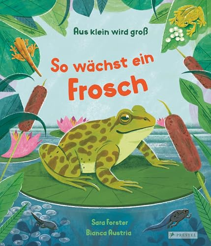 Aus klein wird groß. So wächst ein Frosch: Ein farbenfrohes Sachbilderbuch für Kinder ab 3 Jahren