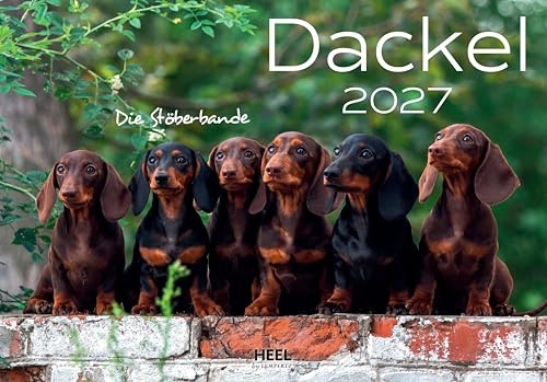 Dackel 2027 Wandkalender: Tierkalender mit den charmanten Namen - Eintragkalender