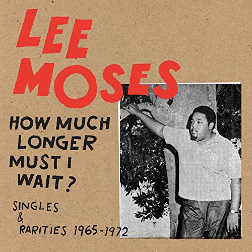How Much Longer Must I Wait? Singles & Rarities 19 [Vinyl LP]
