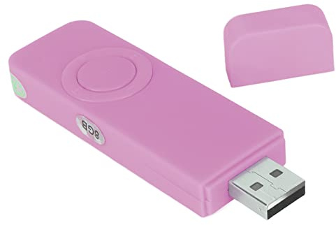 USB-Stick MP3-Player, 8 GB Musik-Player mit USB-Flash-Laufwerk, Tragbarer HiFi-MP3-Musik-Player mit Verlustfreiem Sound, Erweiterbar auf Bis zu 64 GB (Rosa)