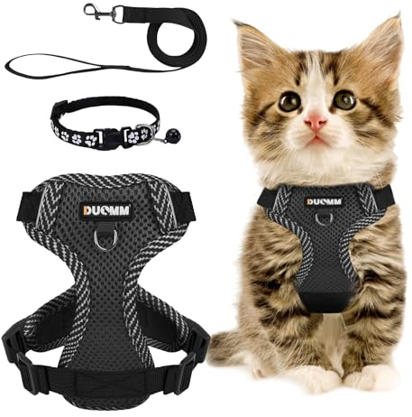 Katzengeschirr Mit Leine Set, Verstellbar Ausbruchsicher Mit Reflektierendem Geschirr, Atmungsaktives Halsband Set für Hunde Und Katzen Auf Spaziergängen (M)