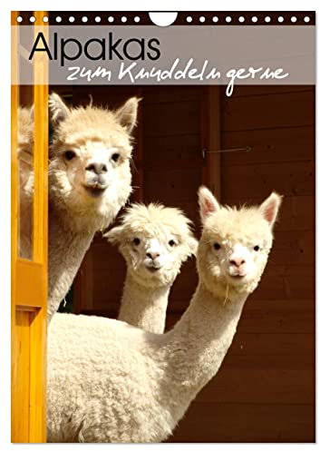 Alpakas zum Knuddeln gerne (Wandkalender 2025 DIN A4 hoch), CALVENDO Monatskalender: Eine liebevoll zusammengestellte Sammlung mit Portraits von zuckersüßen Alpakas (CALVENDO Tiere)