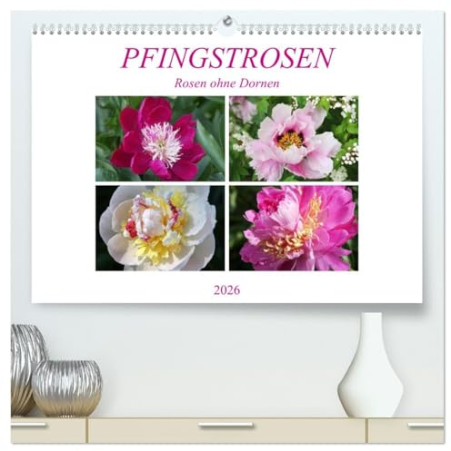 PFINGSTROSEN Rosen ohne Dornen (hochwertiger Premium Wandkalender 2026 DIN A2 quer), Kunstdruck in Hochglanz: Wunderbare Blütenporträts (CALVENDO Natur)