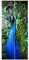 Vliestapete Tür - Edler Pfau - Türtapete, Größe HxB: 215cm x 96cm