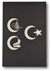Gök-Türk Wandbild Bild für Wohnzimmer Büro Wohnung Deko Kunstdrucke Drei Halbmonde 3 Hilal Stern Ay Yildiz Tugra Wolf Bozkurt (Schwarz)