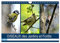 OISEAUX des Jardins et Forêts (Calendrier mural 2023 DIN A4 horizontal): Différentes rencontres avec nos amis à plumes (Calendrier mensuel, 14 Pages )