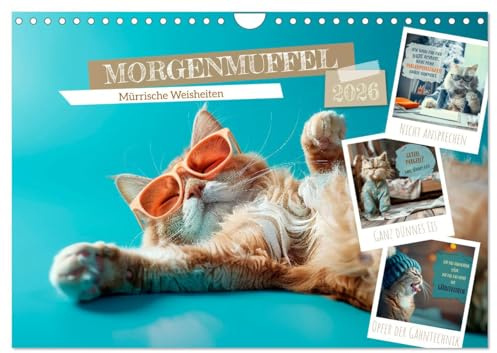 MORGENMUFFEL Mürrische Weisheiten (Wandkalender 2026 DIN A4 quer), CALVENDO Monatskalender: Wer früh aufsteht, hasst mehr vom Tag (CALVENDO Spass)