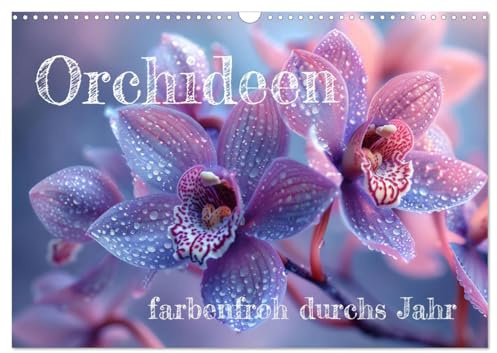 Orchideen - farbenfroh durchs Jahr (Wandkalender 2026 DIN A3 quer), CALVENDO Monatskalender: Motivkalender Orchideen (CALVENDO Natur)