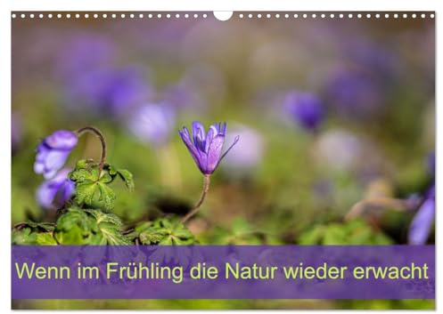 Wenn im Frühling die Natur wieder erwacht (Wandkalender 2026 DIN A3 quer), CALVENDO Monatskalender: Der Frühling ist der Beginn von etwas ganz Großem. (CALVENDO Natur)