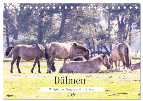 Dülmen - Wildpferde, Burgen und Schlösser (Tischkalender 2026 DIN A5 quer), CALVENDO Monatskalender: Dülmen ist bekannt für seine große ... Schlösser und Wasserburgen (CALVENDO Orte)