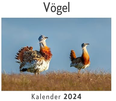 Vögel (Wandkalender 2024, Kalender DIN A4 quer, Monatskalender im Querformat mit Kalendarium, Das perfekte Geschenk)