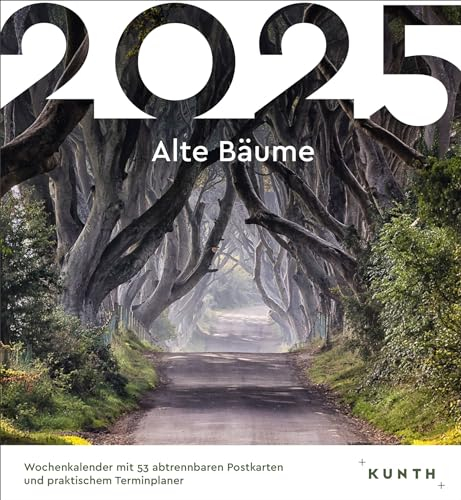 Alte Bäume - KUNTH Postkartenkalender 2025: Hochwertiger Tischkalender mit 53 traumhaften Postkarten (auch zum Aufhängen)