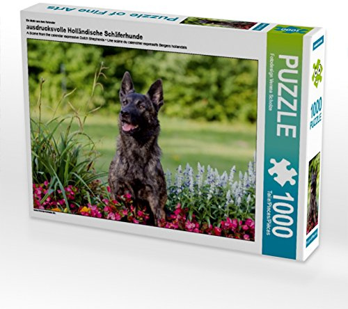 CALVENDO Puzzle EIN Motiv aus dem Kalender ausdrucksvolle Holländische Schäferhunde 1000 Teile Puzzle quer | Lege-Größe cm Foto-Puzzle für glückliche Stunden