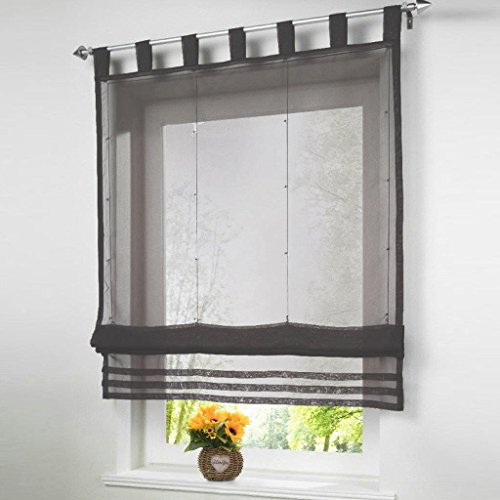 Raffrollo Voile Transparent Rollos mit Schlaufen Gardinen Vorhang (B*H 100 * 155cm, Dunkelgrau)