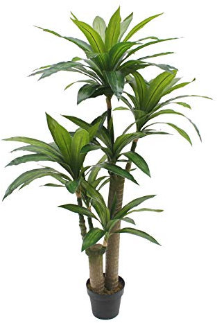 AMERIQUE 5.3 Traumhafte Tropische Dracaena-Baum, künstliche Seidenpflanze mit UV-Schutz, mit Topf, fühlen Sich echt an, super Qualität, 152 cm, Grün