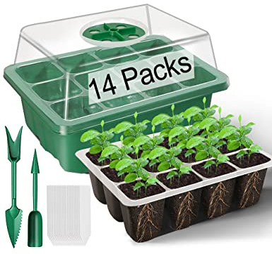 TOYPOPOR 12 Stück Zimmergewächshaus Anzuchtkasten, 144 Mini Gewächshaus Anzucht Set mit erhöhten Deckel, Wiederverwendbar Anzuchtplatte, Setzling Starter Tabletts für Sämlinge - Grün