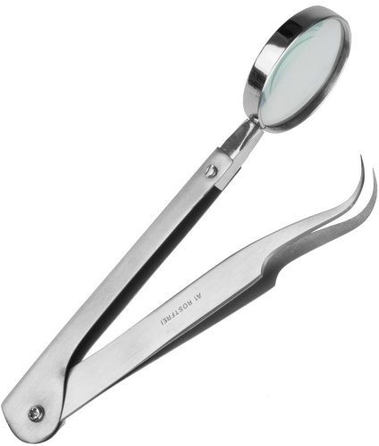 Lupenpinzette - Zeckenpinzette - Länge: 13,3 cm - rostfreier Edelstahl