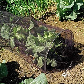 Grow-Tunnelnetz, 3 m, schützt Pflanzen vor Vogelschäden