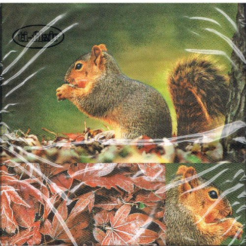 ti-flair - Servietten - Squirrel - Herbst / Eichhörnchen