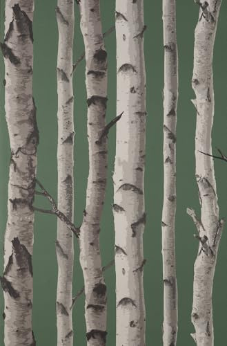 Fine Decor UK Birch Trees SW Hunter Green