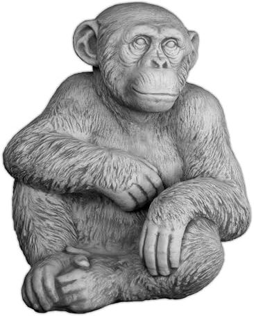 gartendekoparadies.de AFFE Schimpanse, Steinfigur, H. 50 cm, 56 kg, Grau, frostsicher aus Steinguss für Außenbereich