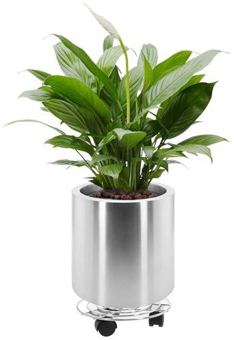 LONGRUNNEW Pot de fleurs rond 25 cm - Grand pot de fleurs en acier inoxydable avec base pour intérieur et extérieur - Ø 24 x H 22 cm