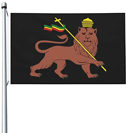 Bandera con el emblema del León de Judá, de 90 x 150 cm, ideal para decoración de exteriores, para el jardín de tu casa.