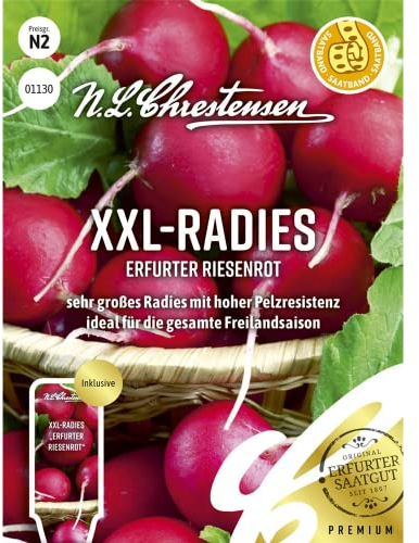 XXL- Radies Erfurter Riesenrot, Saatband sehr großes Radies mit hoher Pelzresistenz, Samen