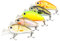 Mister Tackle BX-1 Angelköder Wobbler Set Crankbaits für Barsch und Forelle Spinnfischen - 5 Kunstköder Inklusive Box