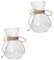 Yardenfun 2pcs Transparent Glass Craft Vase Unique Flower Container Ornament Glass Flower Vasfor Indoor and Outdoor Use Simple Decorative Hydroponic Plant Base and Stable Design