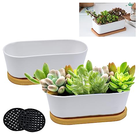 CYNNXIA 2 Pack White Ceramic Succulent Plant Pots 17CM Oval Ceramic Planters Mini Cactus Plant Pot Bonsai Pots Small Flower Pots with BambooTray and Drainge Hole for Indoor and Outdoor Dec(No Plant)