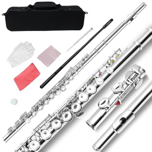 WUQIMUSC Flûte à 16 touches, flûte d'étudiant à trou fermé avec sac de transport, gants, tige de nettoyage, instrument de flûte débutant (#argent)