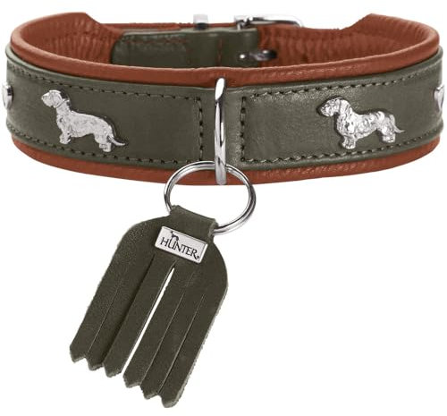 HUNTER Teckel-Halsband MÜNCHEN, Farbe: grün/Cognac, Leder, edle Dackel-Besätze, weich und robust, fellschonend, luxuriös, ökologisch hergestellt, nachhaltig, Made in Germany, Größe: 32