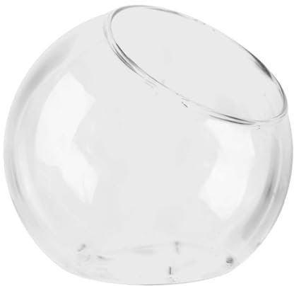 Terrario para Plantas, Cuenco de Vidrio, Maceta de Corte Inclinado de 14 cm, jarrón de Vidrio Transparente, Soporte para suculentas, Tarro de terrario de Centro de Mesa, decoración del hogar