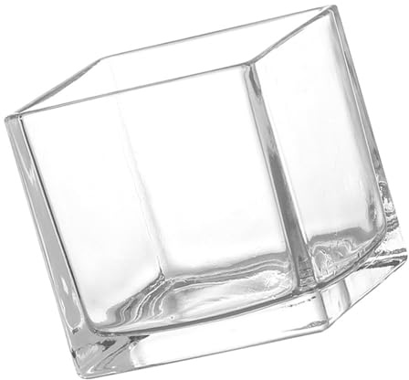 HOMOBABE Jarrón de Cristal Transparente Cuadrado 10x10 Cm, Recipiente Hidropónico Grueso para Flores, Florero Decorativo Moderno para Interior y Oficina