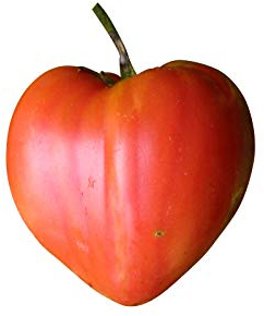 Ochsenherz-Tomate 10 Samen (RAR) (Gigantisch große Tomate)