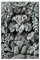 Ernst Haeckel Hexacoralla Meereskoralle in Schwarz und Weiß, wissenschaftliche Illustration, Jugendstil, Scientifi, Leinwand-Poster, Schlafzimmer-Dekor, Sport, Landschaft, Büro, Raumdekoration,