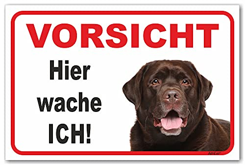 AdriLeo Schild - Vorsicht brauner Labrador Retriever - Hier wache ich - (15x20cm) / Achtung Hund Wachhund robust langlebig UV-beständig wetterfestes Warnschild