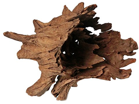 Corbo Wurzel - Dekoration Aquarium / Terrarium (Medium (ca. 30 - 40 cm))