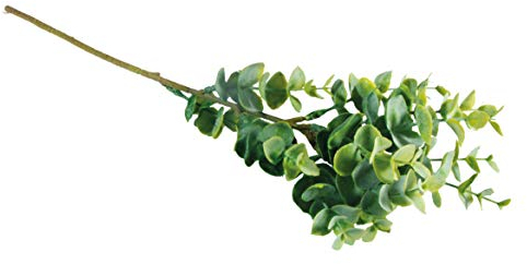 Rayher Ramo bosso, Altro Materiale, Verde, 40cm