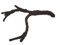 Komodo Tropical Vine Branch Large pour Reptile/Amphibien