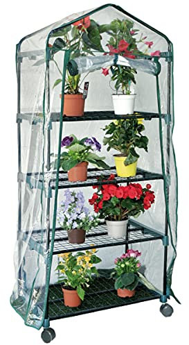 Mondo Verde Serra Rapida Maxy con Ruote - 70 x 50 x 160 cm, Trasparente, PVC, Roll Up