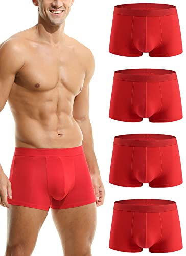 Hoerev Lot de 4 sous-vêtements en Fibre Super Douce et Confortable pour Hommes,S
