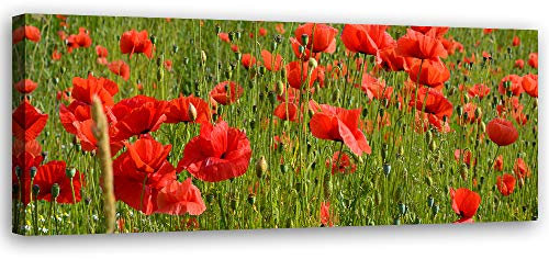 Feeby Leinwandbild XXL Mohnblumen Wandbild Kunst abstrakt Rot 150x60 cm