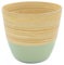 Dehaus® Pot de Fleur en Bambou Fait Main Élégant, Pots de Fleurs Interieur, Cache Pot Plante Interieur, Jardiniere, Pot Plante, Porte Plante, Pot Fleur, Moyen Cache-Pots 17 cm D x 16cm H (Vert Clair)