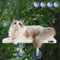 FAMPETY Katzen-Fensterstange, 53,3 cm, Weiß