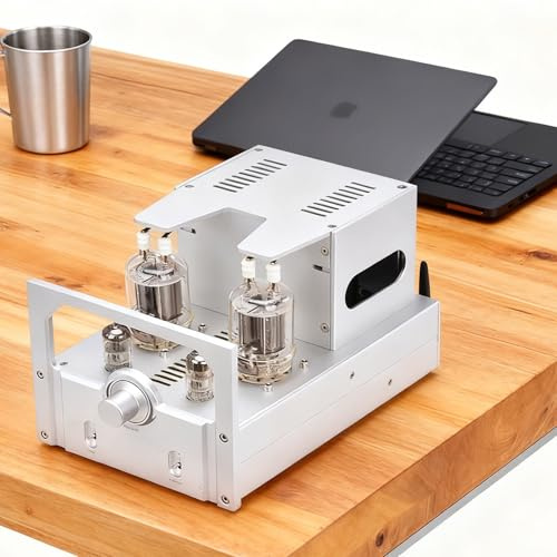HiJiuAn Mini Ampli À Lampes 10 W X 2, Amplificateur Hi-FI À Tubes, Récepteur Stéréo, Bluetooth 5.0, Amplificateur Audio Numérique, avec Boutons D'aigus Et De Graves, Réglage Précis De La Tonalité
